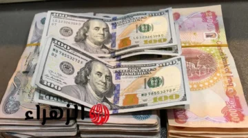 الـ100 دولار تسجل رقمًا جديدًا.. سعر الدولار اليوم مقابل الدينار العراقي السبت 11 أكتوبر 2025 بالبنوك والصرافة 1